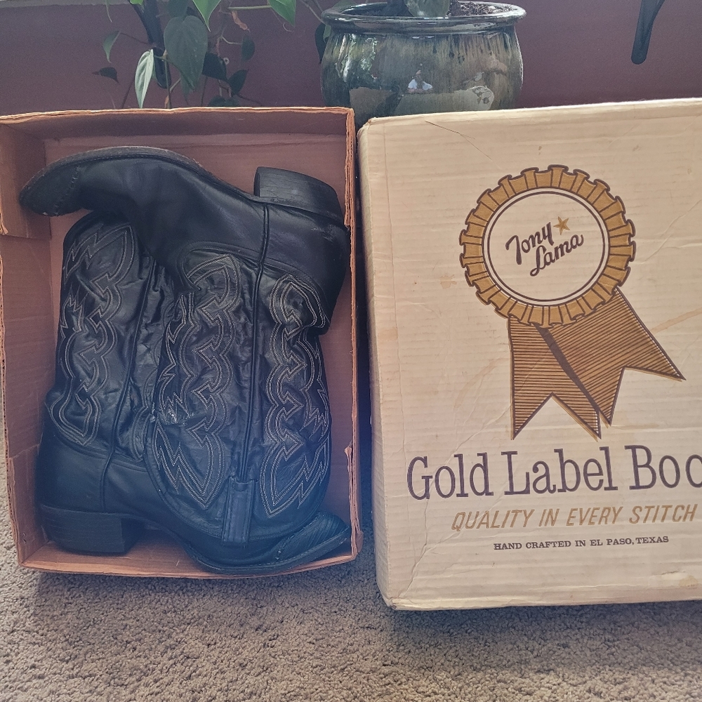 Tony Lama mens boots with lizard tips
